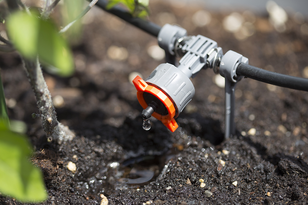 Drip Irrigation